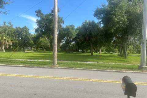 Land in Lakeland, Florida № 1296954 - photo 1