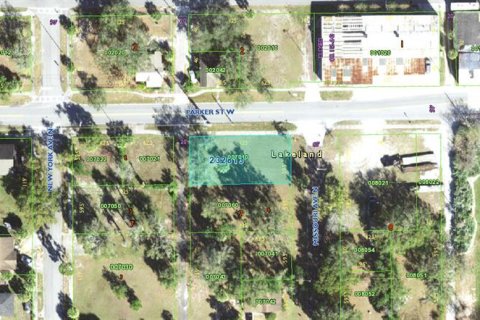 Land in Lakeland, Florida № 1296954 - photo 2