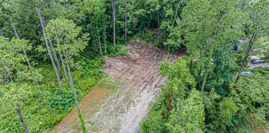 Terreno en Middleburg, Florida № 769408