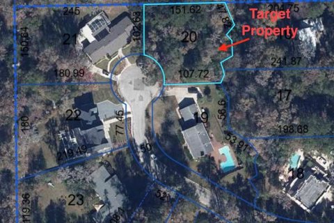 Land in Gainesville, Florida № 2230637 - photo 2