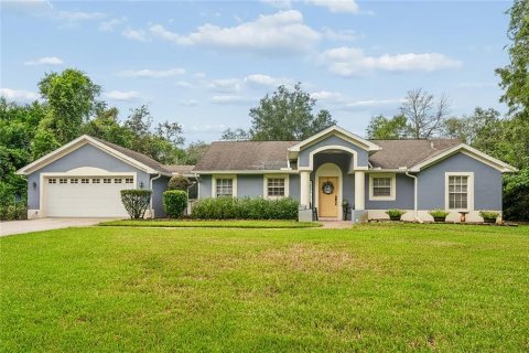 House in New Port Richey, Florida 3 bedrooms, 124.49 sq.m. № 2329613