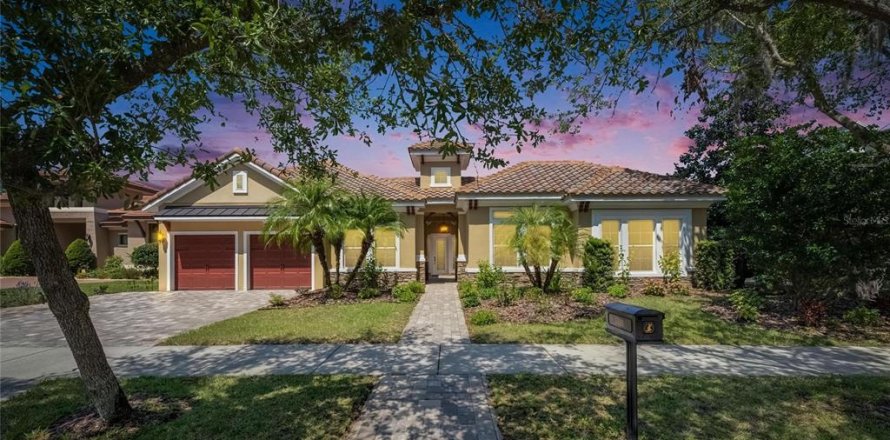 Villa ou maison à Fish Hawk, Floride 4 chambres, 337.89 m2 № 1637910
