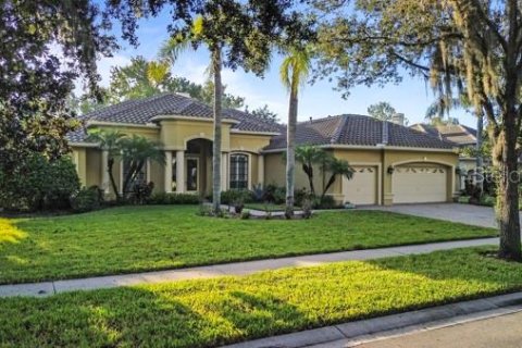 Villa ou maison à Land O' Lakes, Floride 4 chambres, 355.91 m2 № 2412617