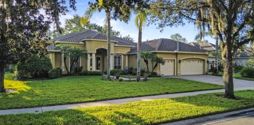 Villa ou maison à Land O' Lakes, Floride 4 chambres, 355.91 m2 № 2412617