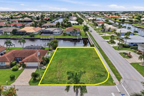 Terrain à Punta Gorda, Floride № 2349955