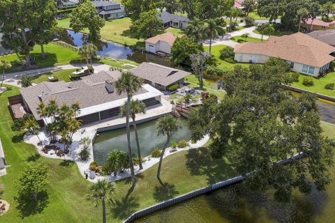 House in Yalaha, Florida 3 bedrooms, 229.56 sq.m. № 1882834 - photo 6