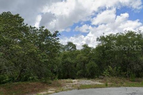 Land in Poinciana, Florida № 2165373