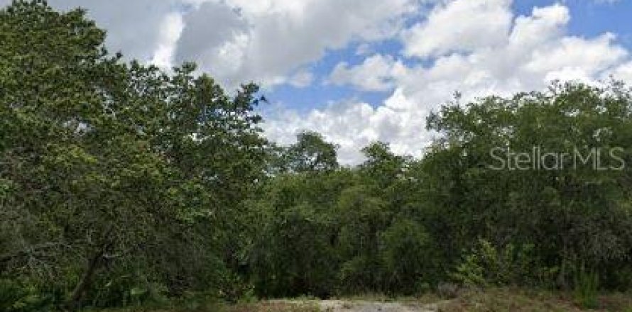 Land in Poinciana, Florida № 2165373