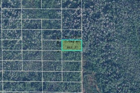 Land in Orlando, Florida № 2219151 - photo 2