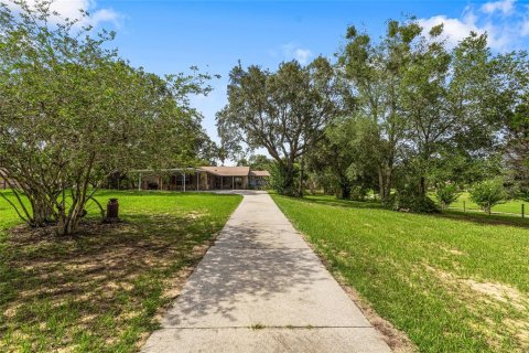 Land in Winter Garden, Florida № 1840258 - photo 5