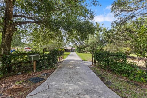 Land in Winter Garden, Florida № 1840258 - photo 4