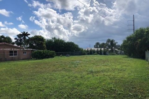 Terrain à vendre à Miami, Floride № 1812118 - photo 2