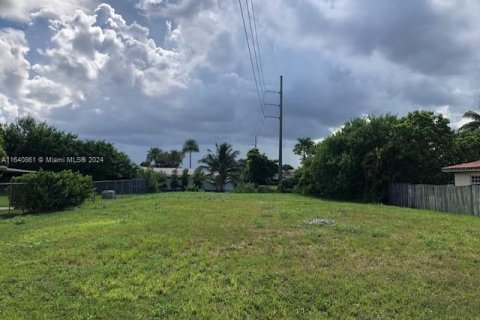 Terrain à vendre à Miami, Floride № 1812118 - photo 3