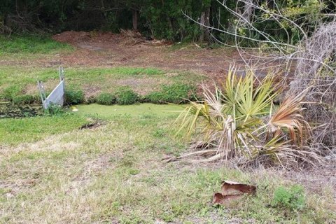 Terrain à Tarpon Springs, Floride № 2105092