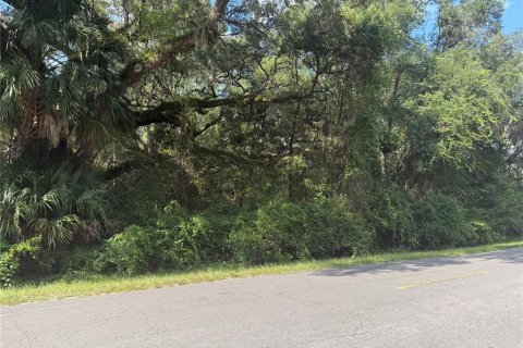 Land in Dunnellon, Florida № 1873539 - photo 3