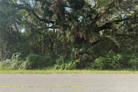Land in Dunnellon, Florida № 1873539 - photo 2