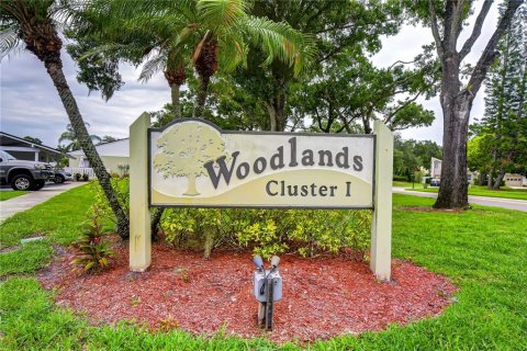 Adosado en alquiler en Oldsmar, Florida, 2 dormitorios, 163.04 m2 № 2234031 - foto 2