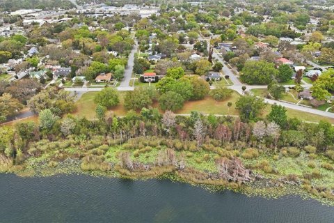 Terrain à vendre à Mount Dora, Floride № 2302950 - photo 21