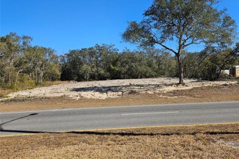 Land in Ocala, Florida № 2114479
