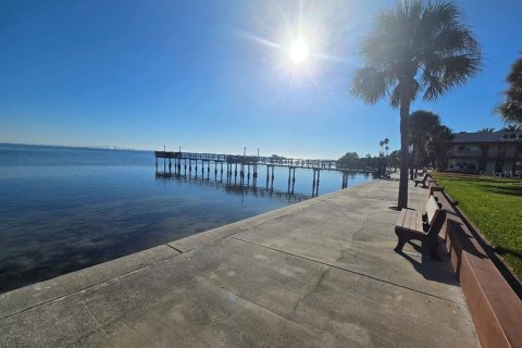 Copropriété à louer à Saint Petersburg, Floride: 1 chambre, 59.46 m2 № 2103461 - photo 4
