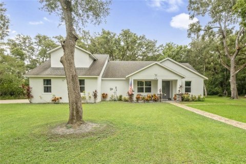 House in Winter Garden, Florida 4 bedrooms, 235.51 sq.m. № 1341805 - photo 3
