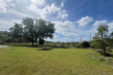 Land in Citra, Florida № 1051479 - photo 9