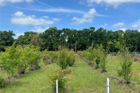 Terreno en venta en Citra, Florida № 1051479 - foto 7