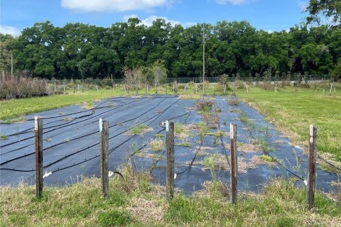 Land in Citra, Florida № 1051479 - photo 6