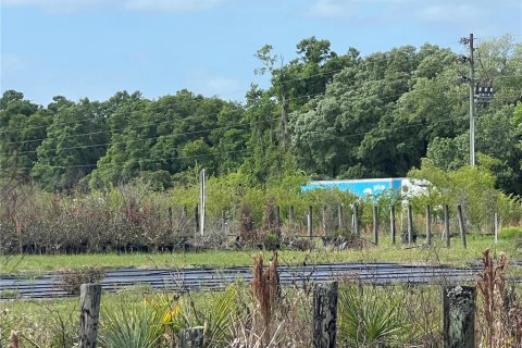 Land in Citra, Florida № 1051479 - photo 11