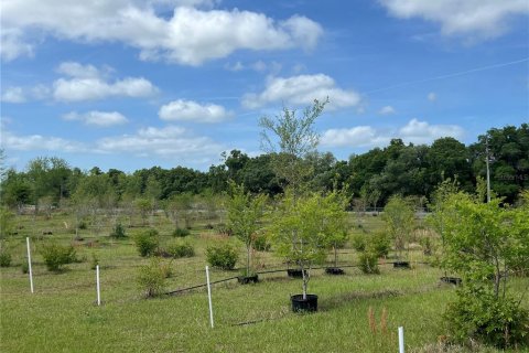 Terrain à vendre à Citra, Floride № 1051479 - photo 4