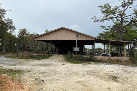 Terreno en venta en Citra, Florida № 1051479 - foto 2
