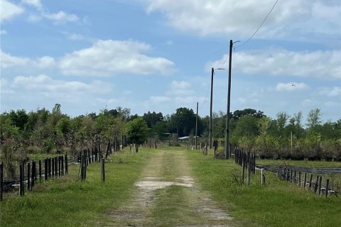 Terreno en venta en Citra, Florida № 1051479 - foto 12