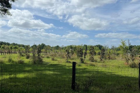 Terrain à vendre à Citra, Floride № 1051479 - photo 5