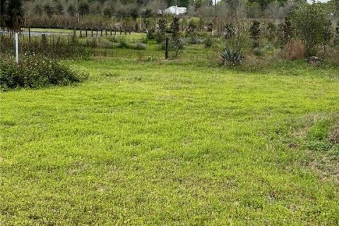 Land in Citra, Florida № 1051479 - photo 1
