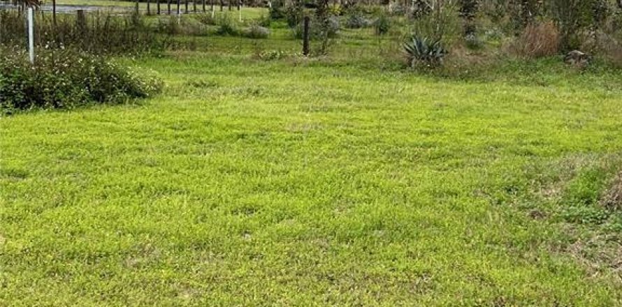 Land in Citra, Florida № 1051479