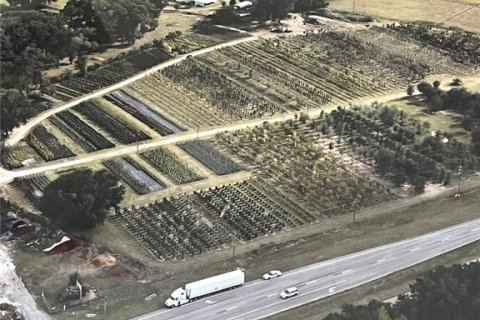 Land in Citra, Florida № 1051479 - photo 16