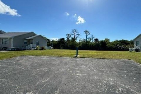 Land in Port Charlotte, Florida № 2165042 - photo 2