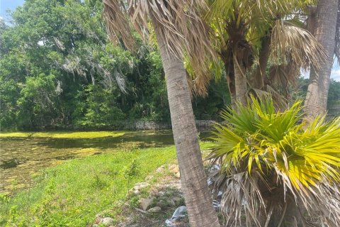 Land in Orlando, Florida № 1769763 - photo 5