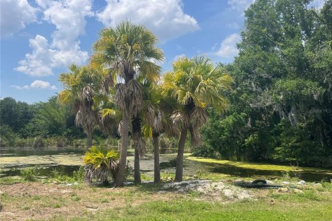 Land in Orlando, Florida № 1769763 - photo 8