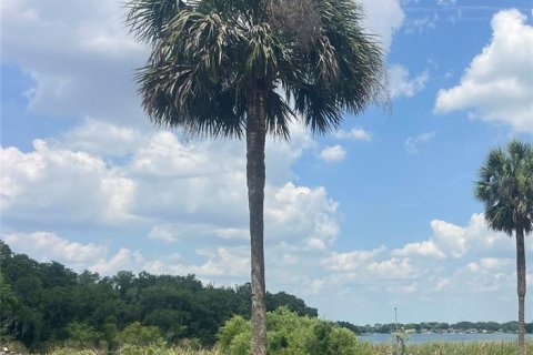 Land in Orlando, Florida № 1769763 - photo 1