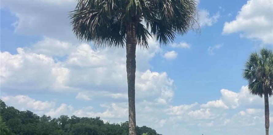 Land in Orlando, Florida № 1769763