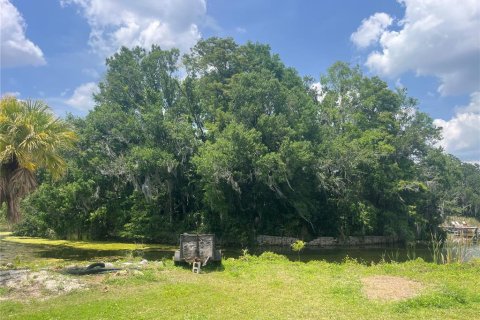 Land in Orlando, Florida № 1769763 - photo 9