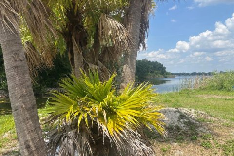 Land in Orlando, Florida № 1769763 - photo 4