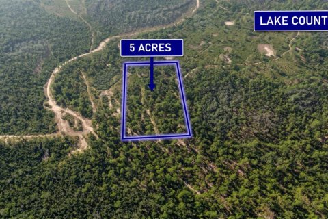 Propiedad comercial en Clermont, Florida № 2158167
