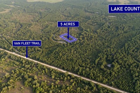 Propiedad comercial en venta en Clermont, Florida № 2158167 - foto 3