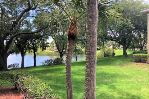 Condo in Palm Harbor, Florida, 2 bedrooms № 2233746 - photo 19