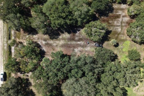 Land in Okeechobee, Florida № 2164381 - photo 2