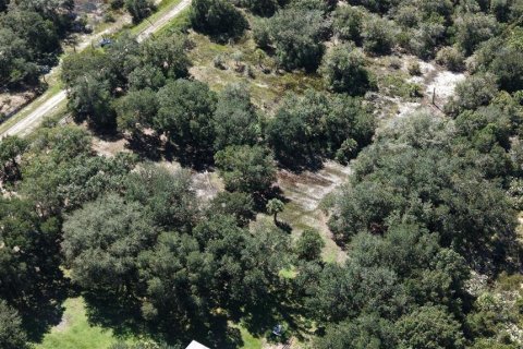 Land in Okeechobee, Florida № 2164381 - photo 8
