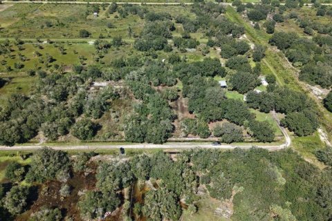Land in Okeechobee, Florida № 2164381 - photo 5