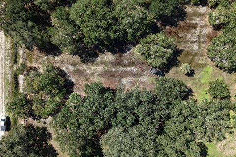 Land in Okeechobee, Florida № 2164381 - photo 3